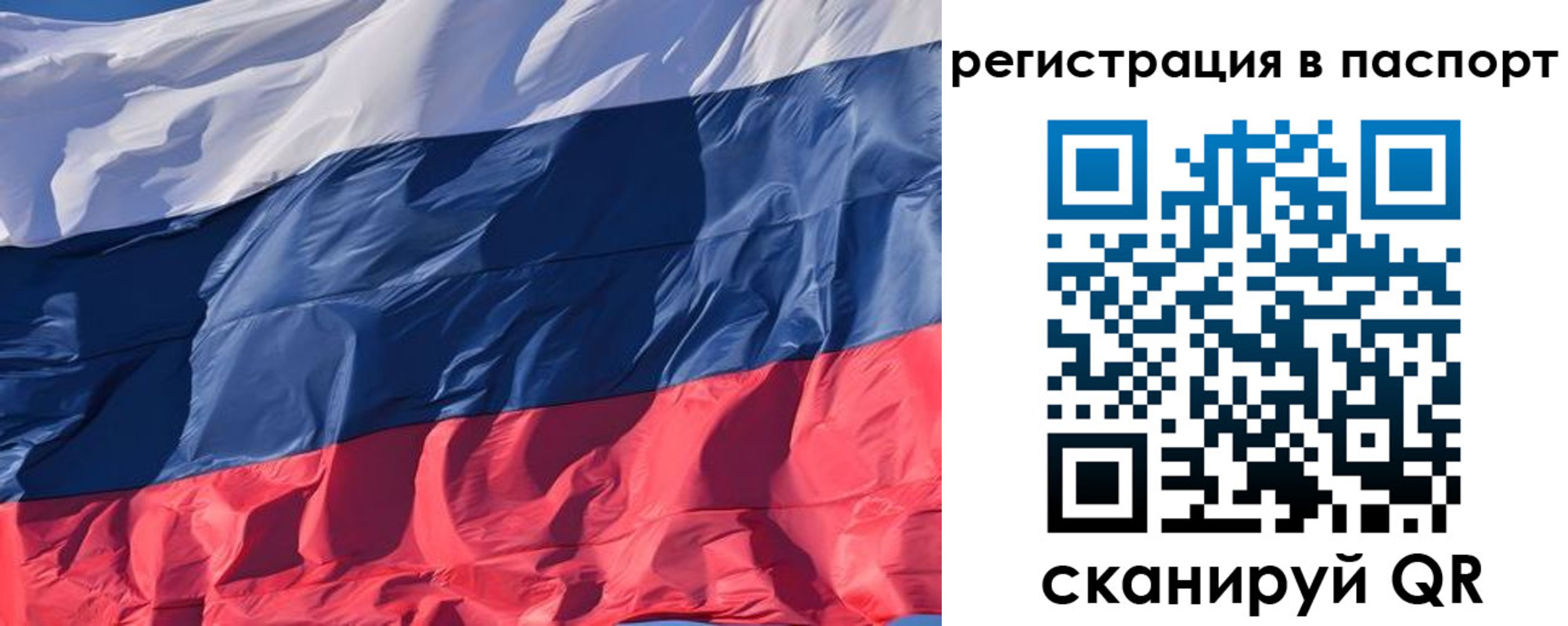 где прописаться в Каргополе